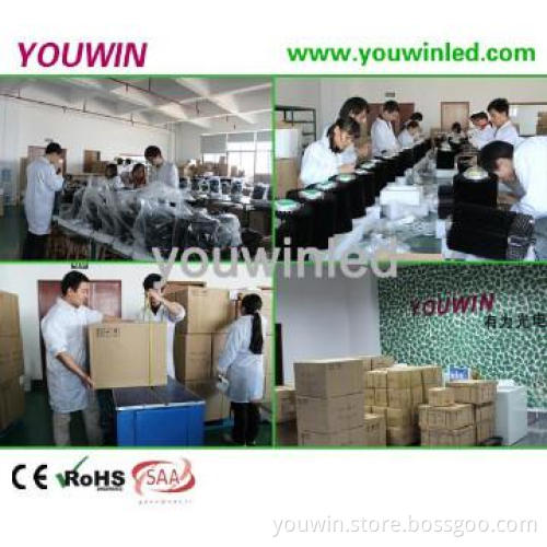 Shenzhen factory Industrial led high bay 30W